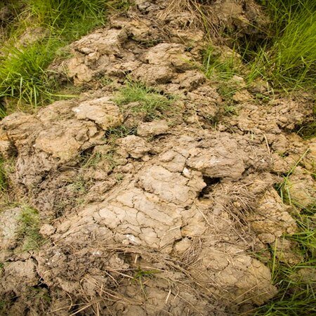 HAZARDOUS AND SOLID WASTE TESTING