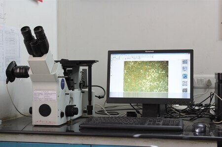 Metallurgical Testing