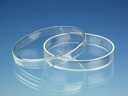 Maxima- Petri Dishes (Anumbra) (75 mm) (80 * 15 mm)