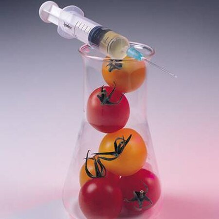 FRUITS AND VEGETABLE TESTING