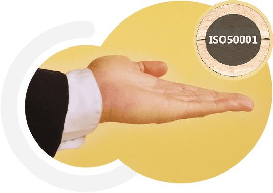 ISO 50001