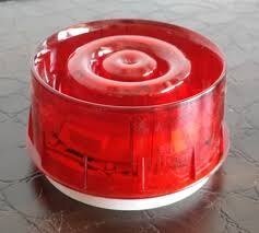 Maxima- Wall mounted sounder , red