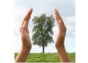 Environment Solution Services