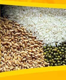 RICE AND WHEAT TESTING